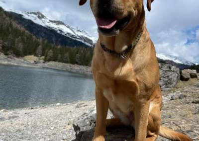 *Bella*