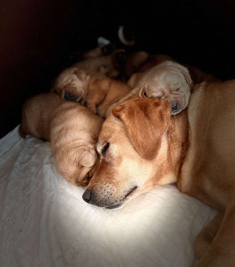 B-011 B-Wurf aus Ermland und Masuren