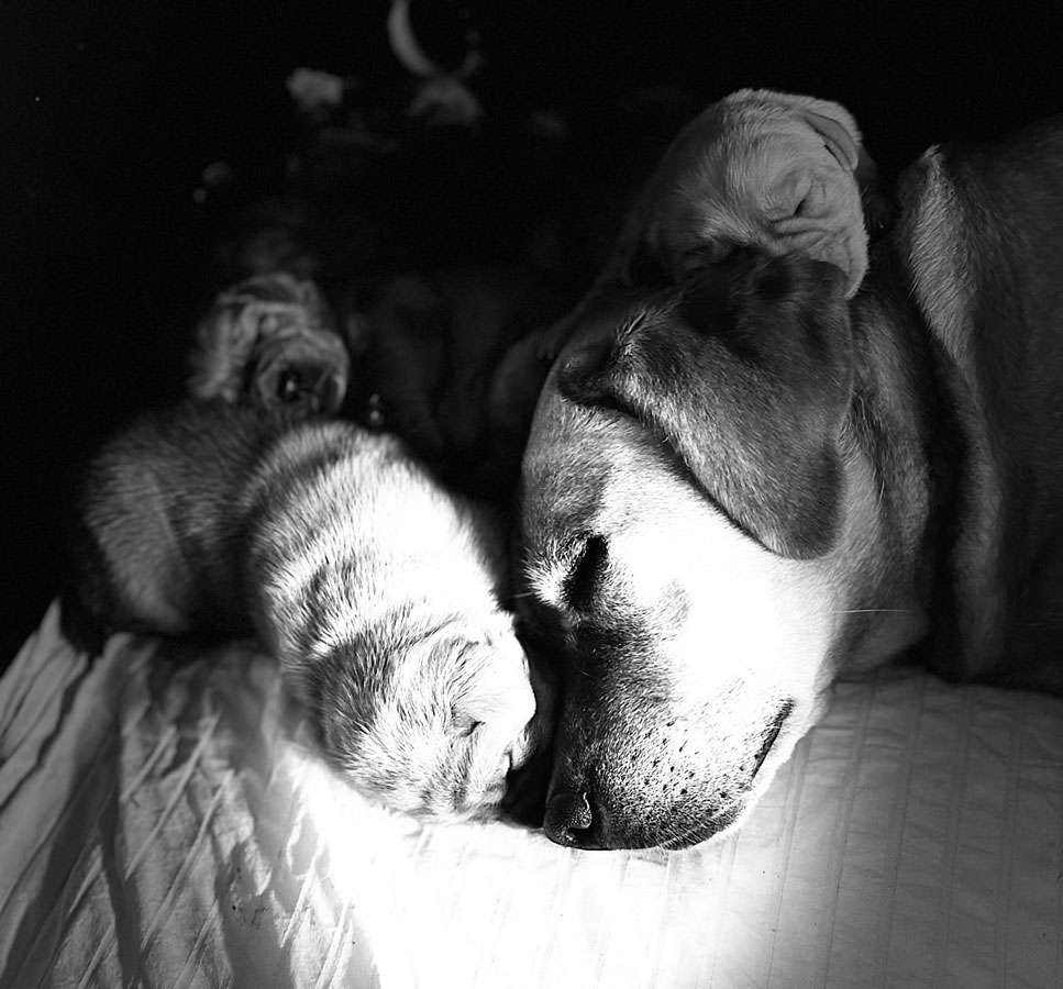 B-013 B-Wurf aus Ermland und Masuren