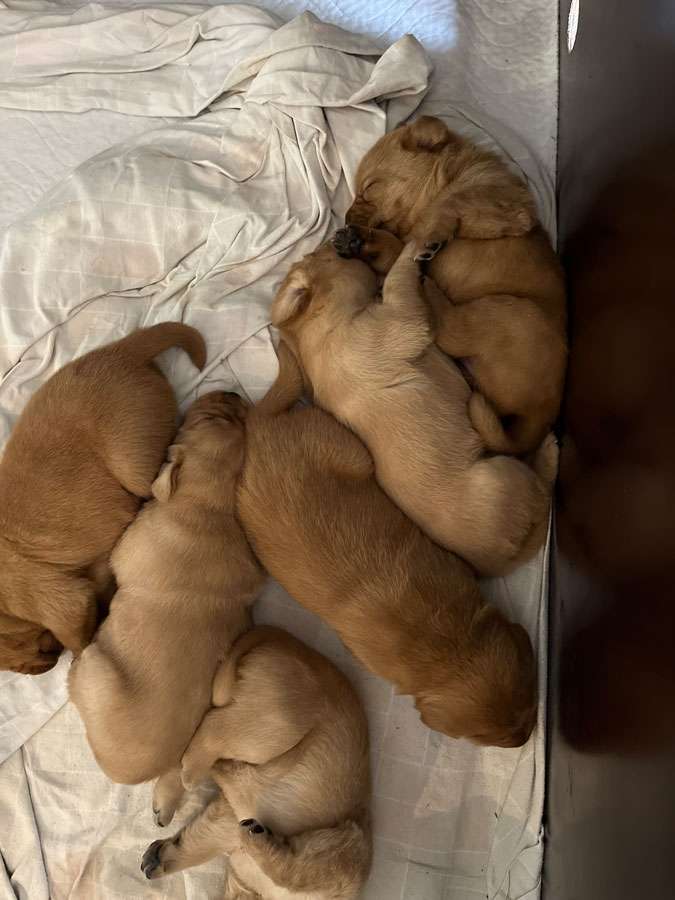 B-018 B-Wurf aus Ermland und Masuren