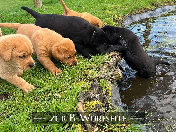 Neuigkeiten