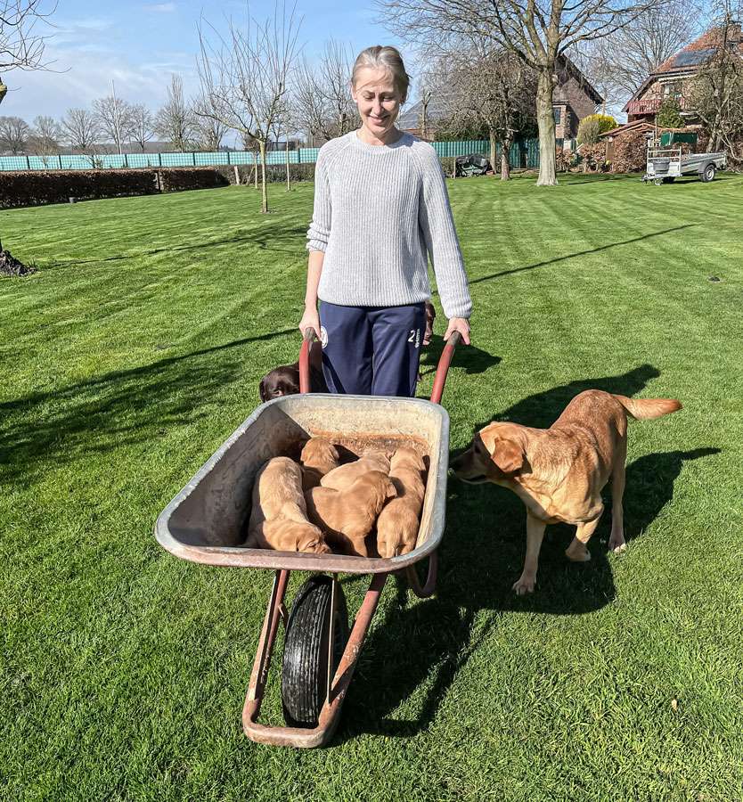 B-019 B-Wurf aus Ermland und Masuren