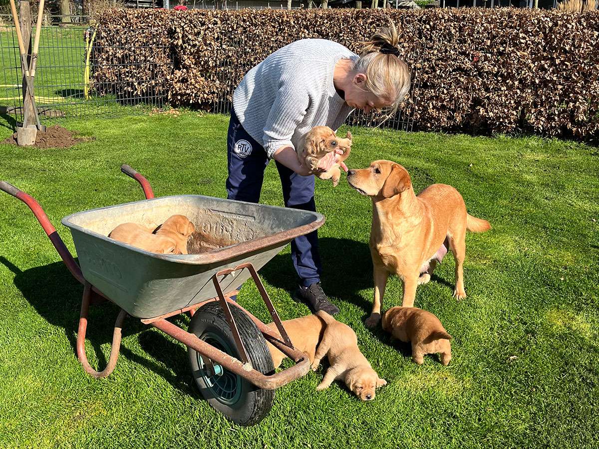 B-022 B-Wurf aus Ermland und Masuren