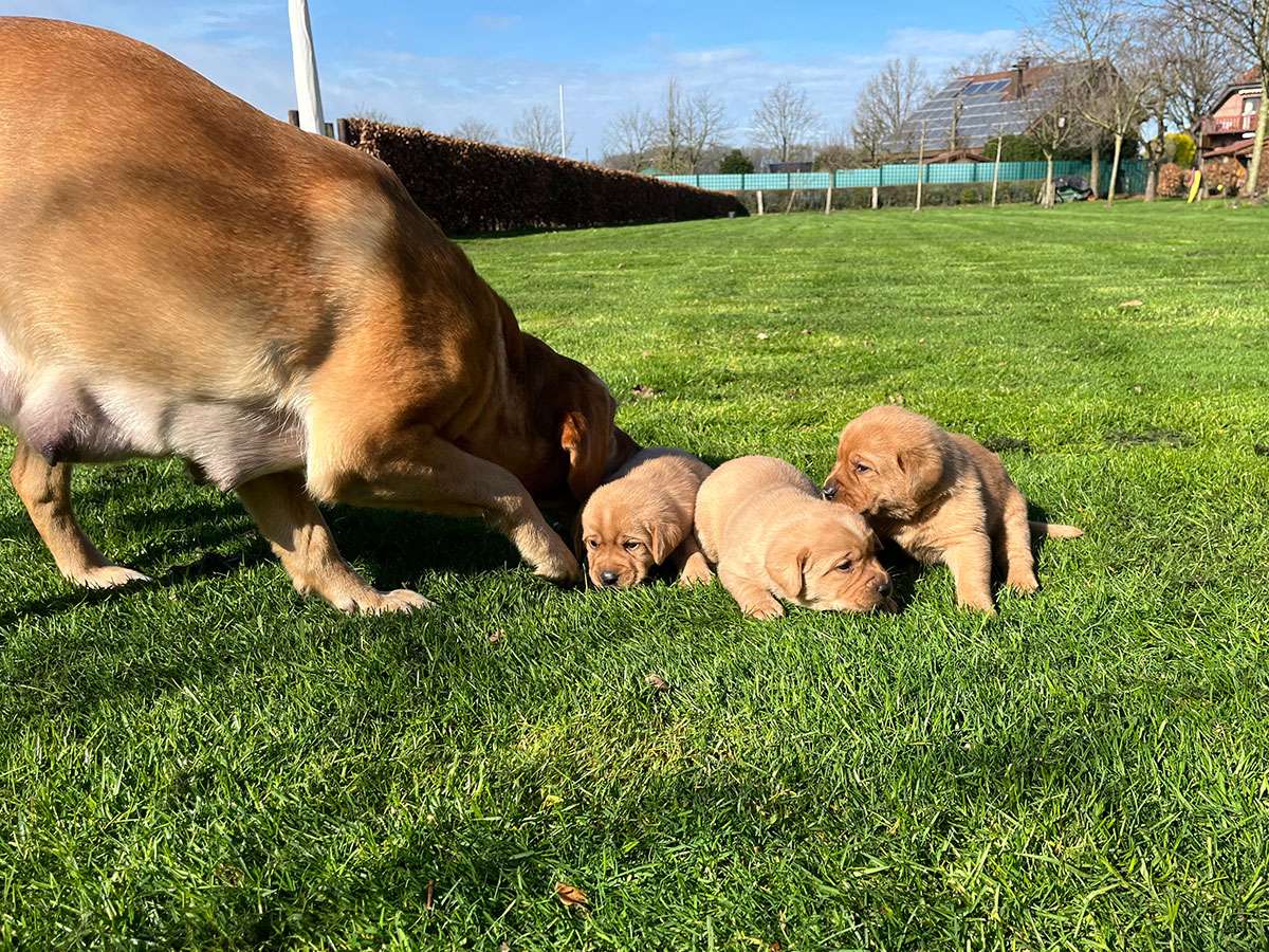 B-023 B-Wurf aus Ermland und Masuren