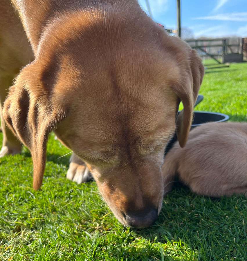 B-030 B-Wurf aus Ermland und Masuren