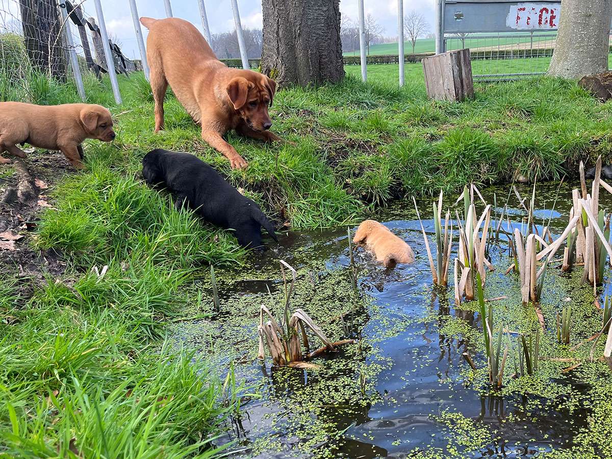 B-047(N2-Brammen) B-Wurf aus Ermland und Masuren / N2-Wurf aus der Dom- und Römerstadt