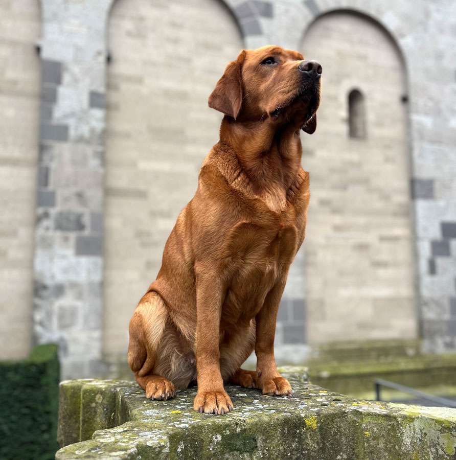 Käthe aus der Dom- und Römerstadt Käthe aus der Dom- und Römerstadt