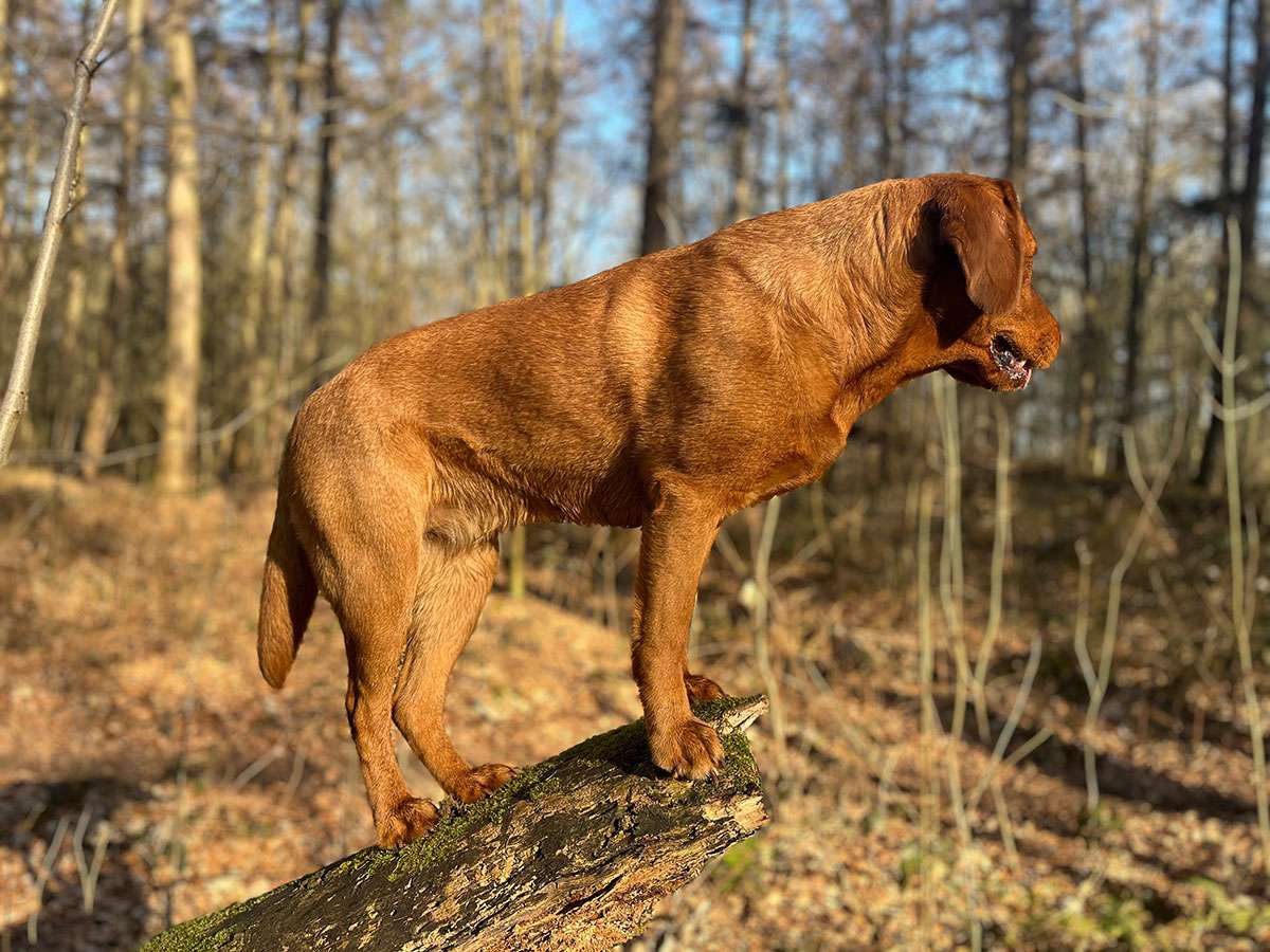Käthe aus der Dom- und Römerstadt Käthe aus der Dom- und Römerstadt