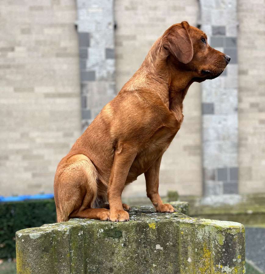 Käthe aus der Dom- und Römerstadt Käthe aus der Dom- und Römerstadt