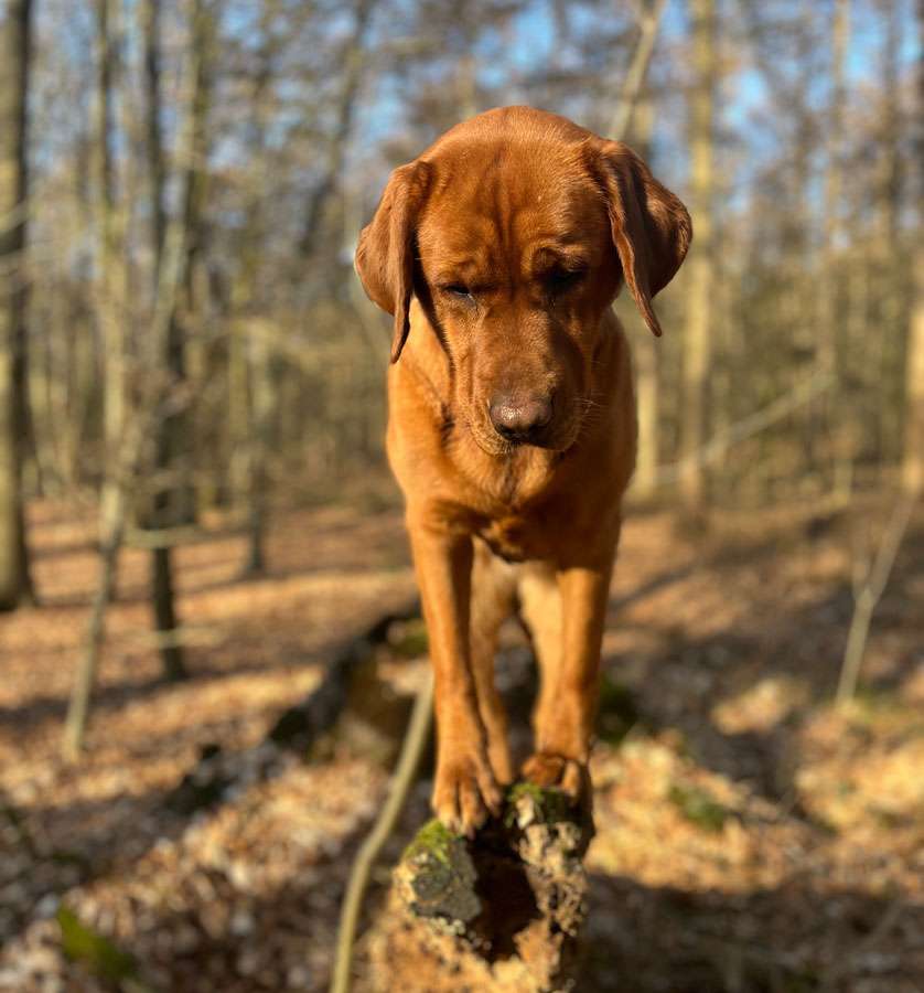 Käthe aus der Dom- und Römerstadt Käthe aus der Dom- und Römerstadt