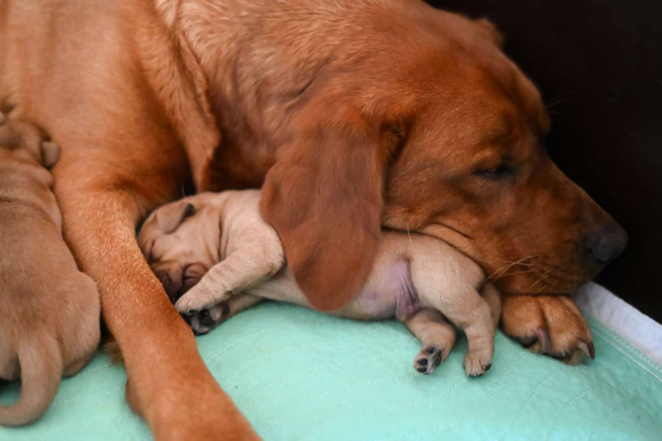 D-ErmlandMasuren_008