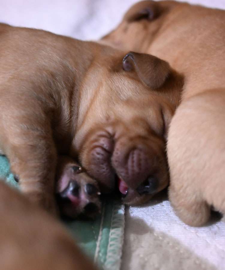 D-ErmlandMasuren_012