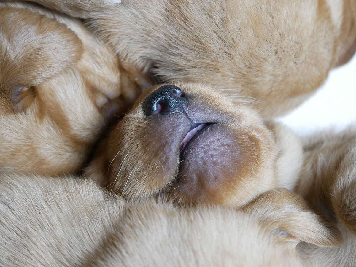 D-ErmlandMasuren_015