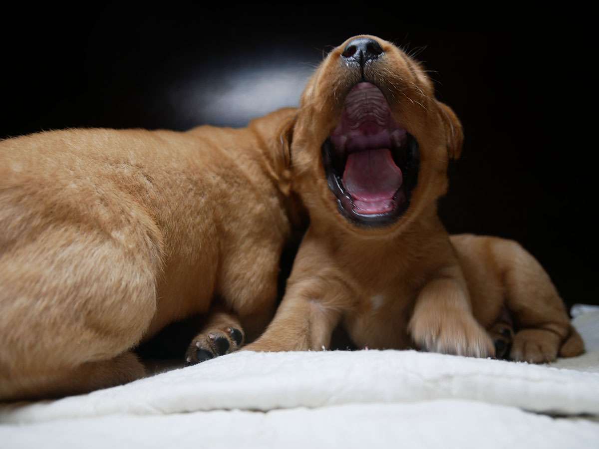 D-ErmlandMasuren_017