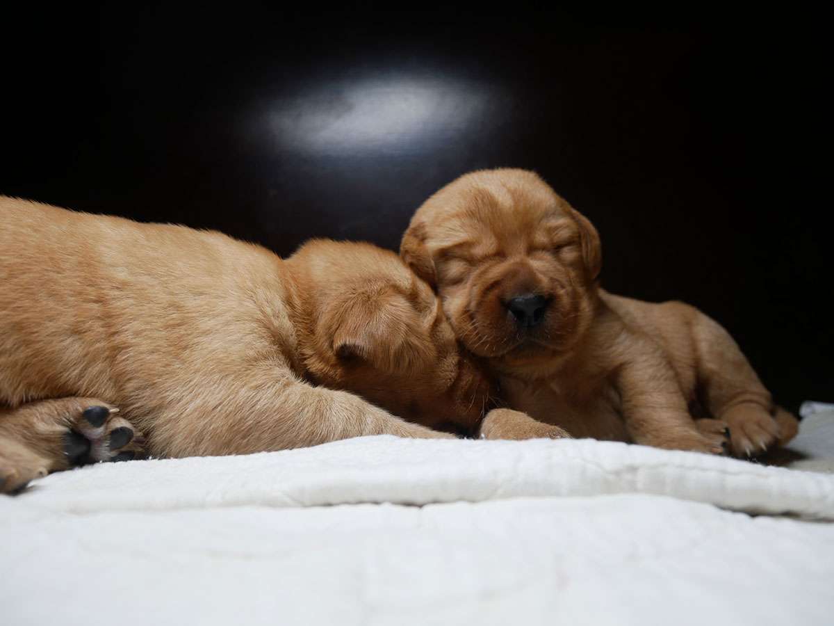 D-ErmlandMasuren_019