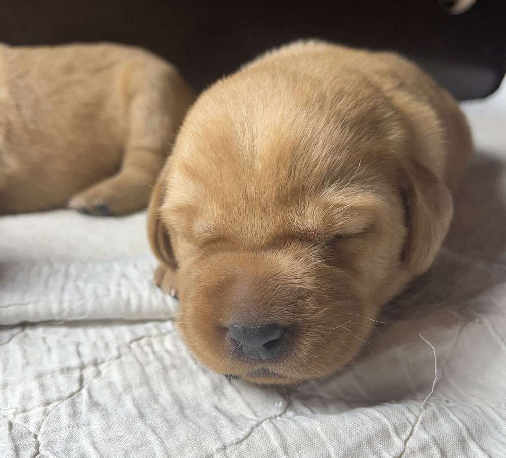 D-ErmlandMasuren_020