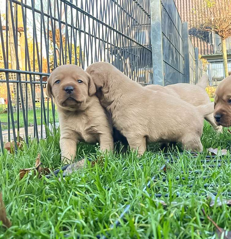 D-ErmlandMasuren_021