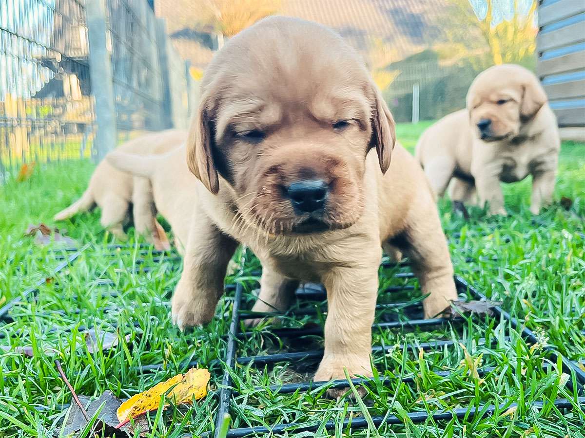 D-ErmlandMasuren_022