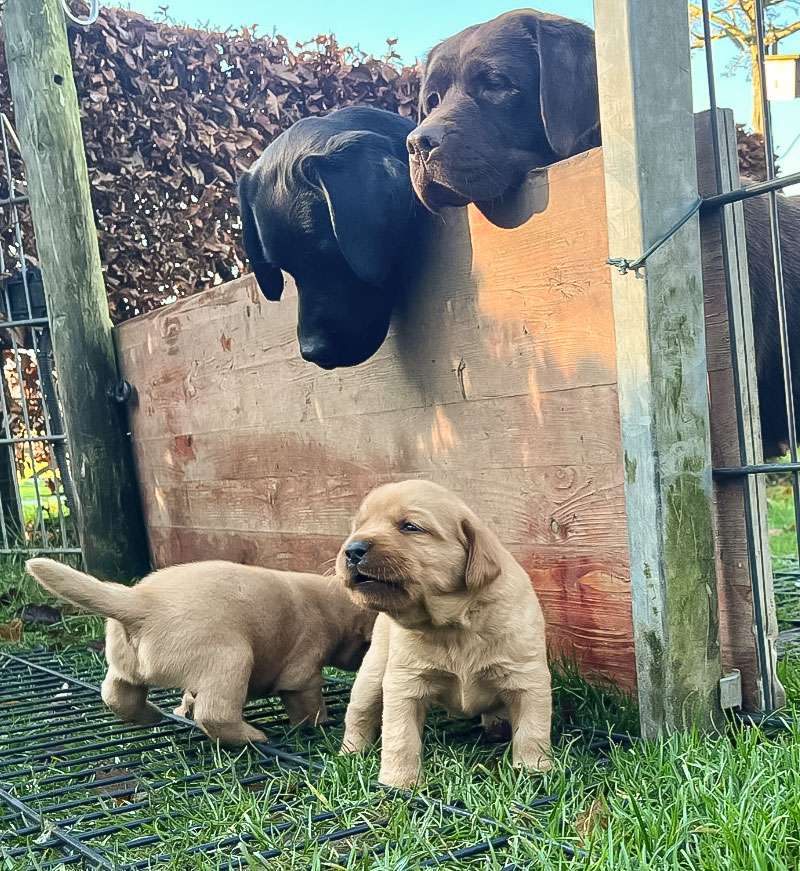 D-ErmlandMasuren_023