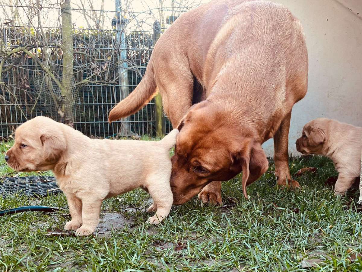 D-ErmlandMasuren_024