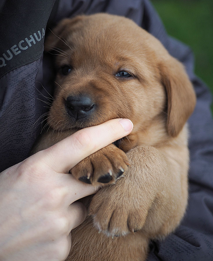 D-ErmlandMasuren_025