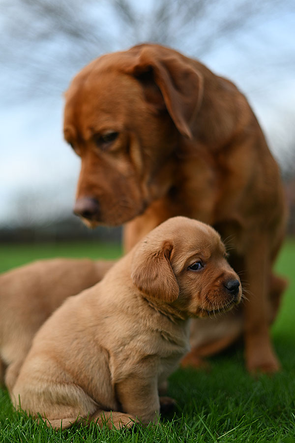 D-ErmlandMasuren_028