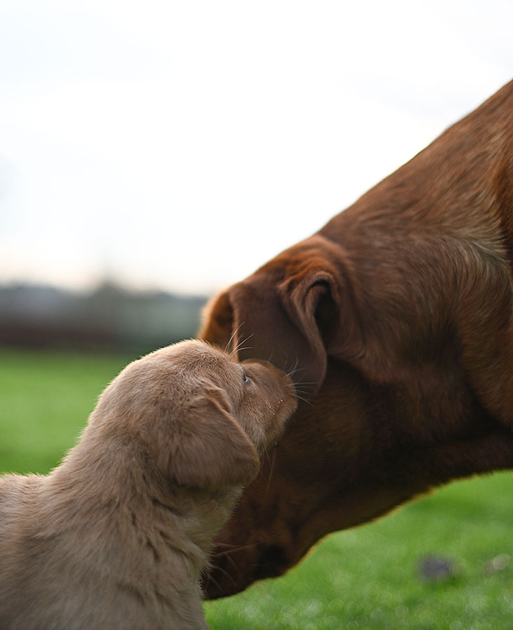 D-ErmlandMasuren_029