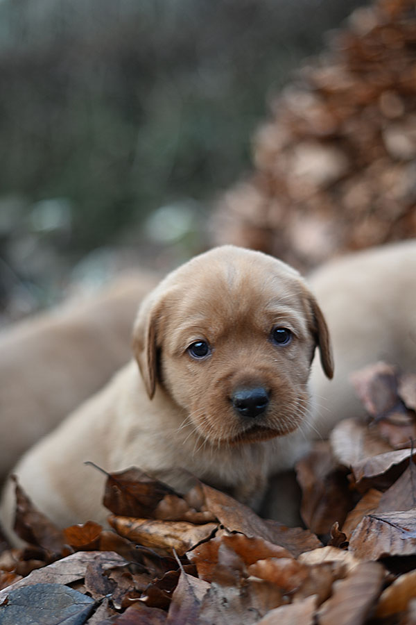 D-ErmlandMasuren_031