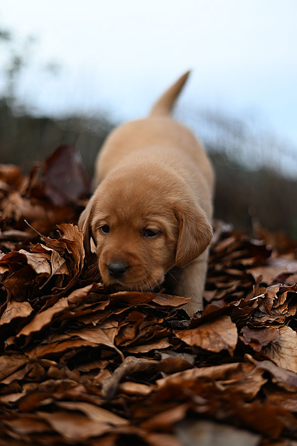 D-ErmlandMasuren_036