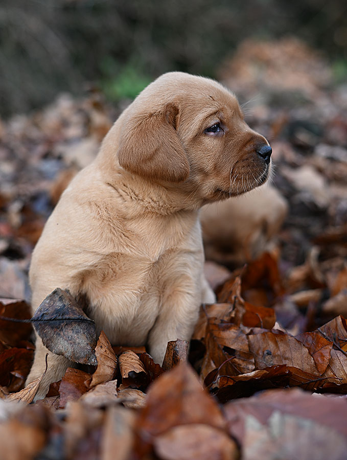 D-ErmlandMasuren_039