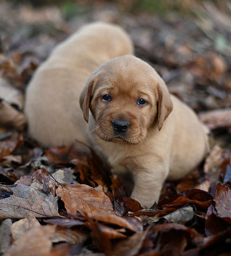 D-ErmlandMasuren_040