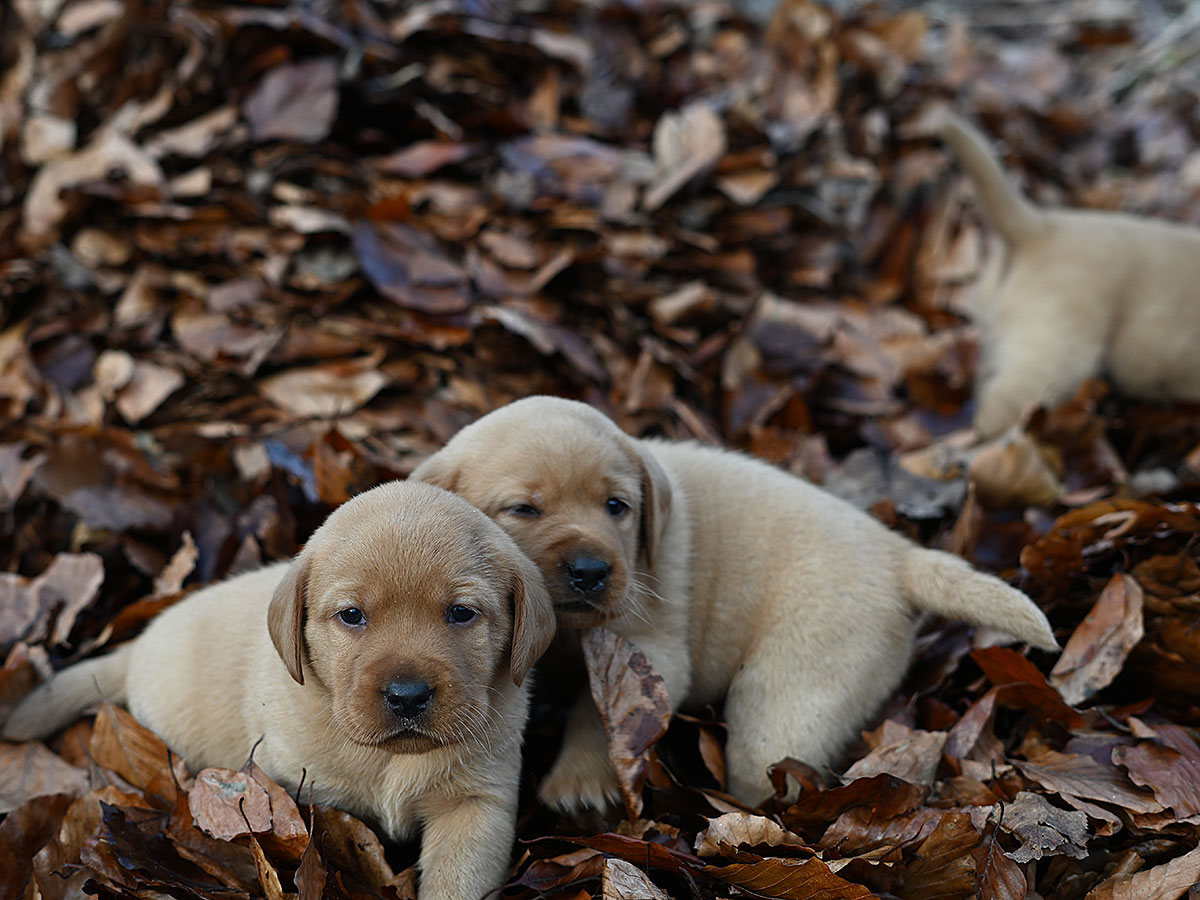 D-ErmlandMasuren_043