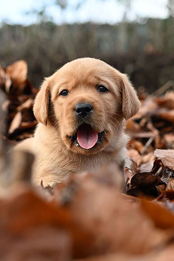 D-ErmlandMasuren_046