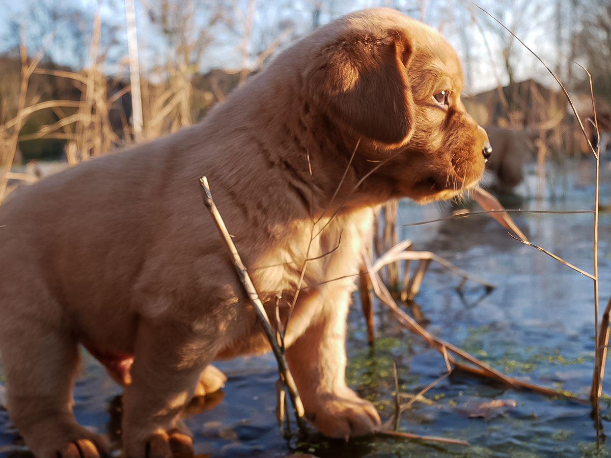 D-ErmlandMasuren_047