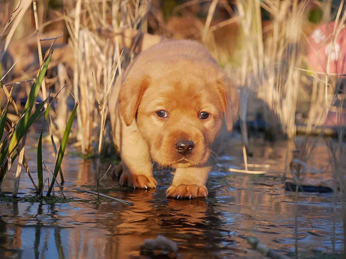 D-ErmlandMasuren_048