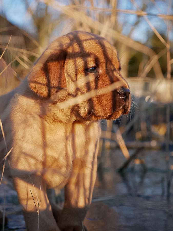 D-ErmlandMasuren_049