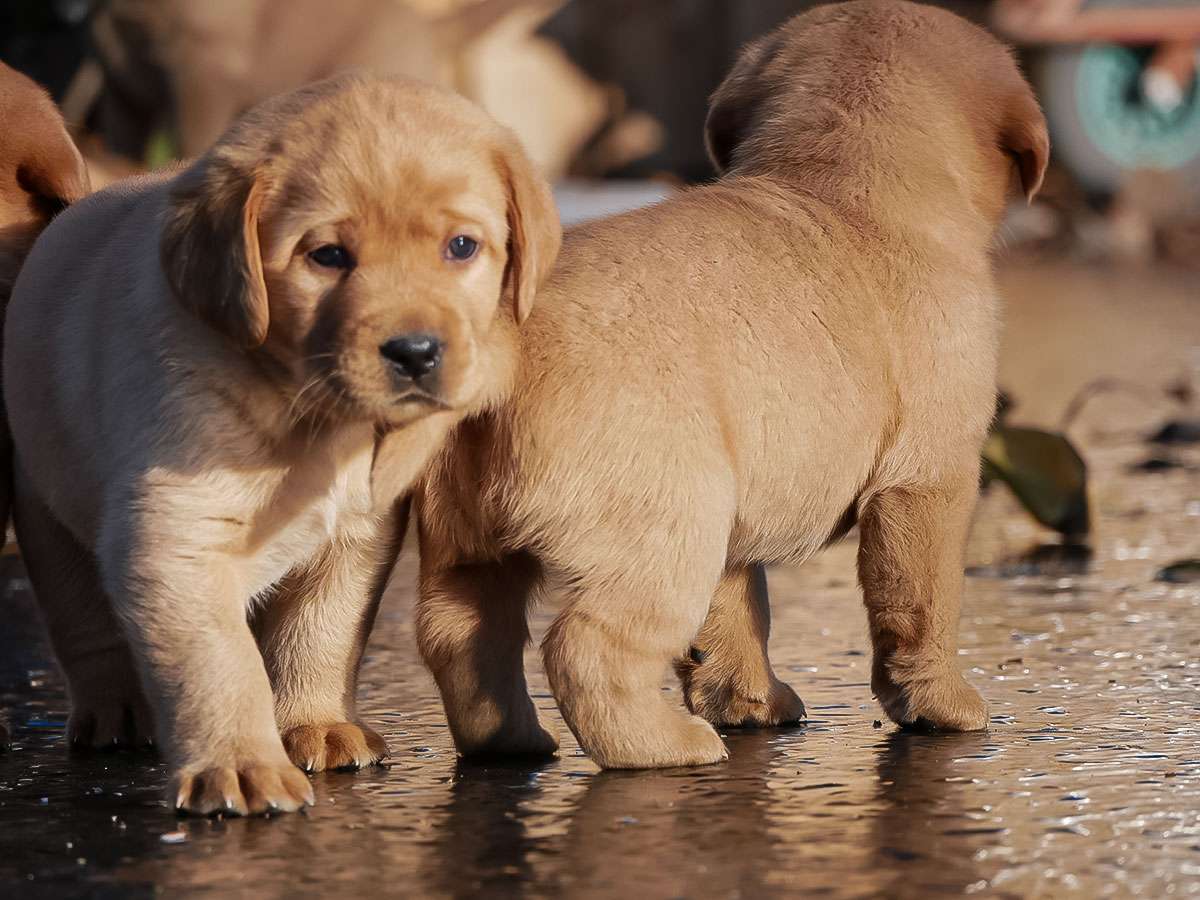 D-ErmlandMasuren_050