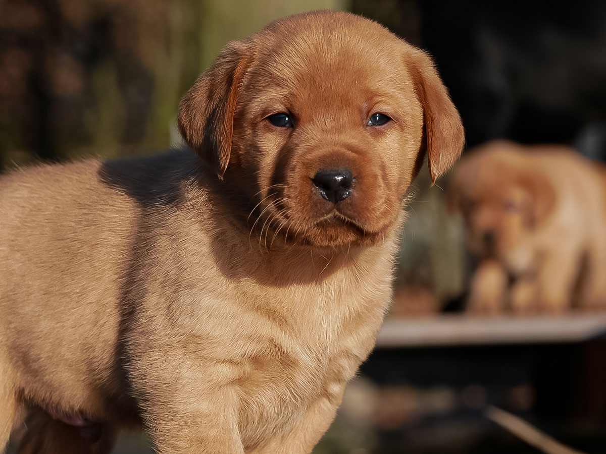 D-ErmlandMasuren_051