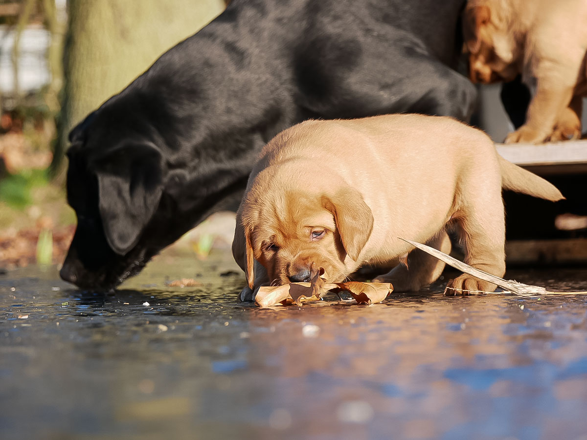 D-ErmlandMasuren_052