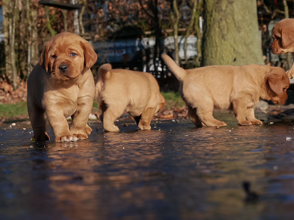 D-ErmlandMasuren_053