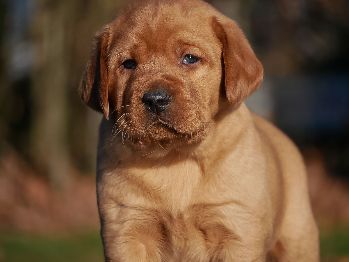 D-ErmlandMasuren_054