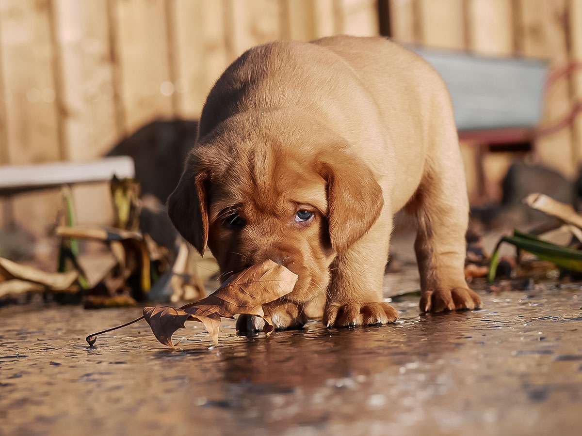 D-ErmlandMasuren_055