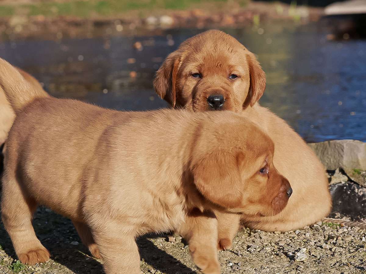 D-ErmlandMasuren_056