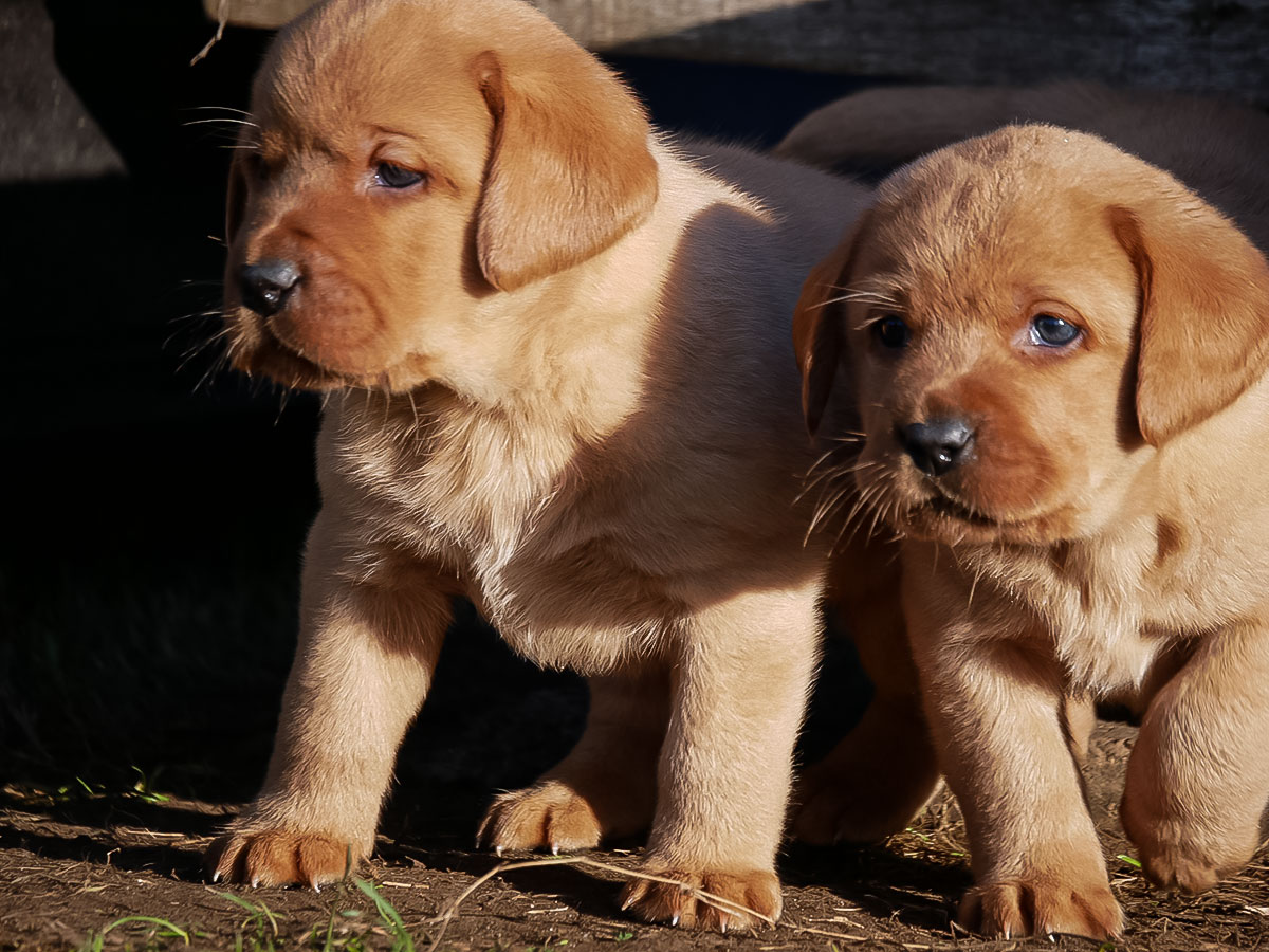 D-ErmlandMasuren_057