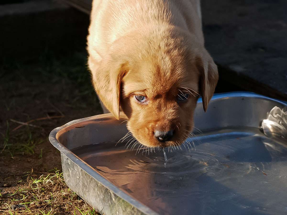 D-ErmlandMasuren_058