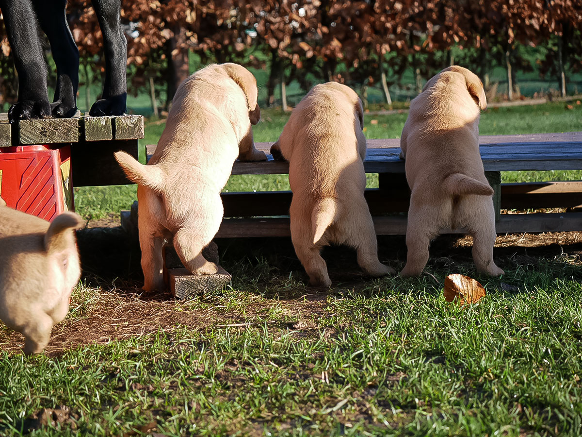 D-ErmlandMasuren_060