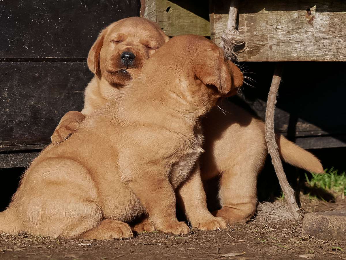 D-ErmlandMasuren_062