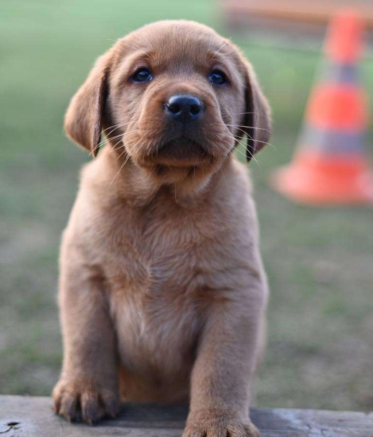 D-ErmlandMasuren_064