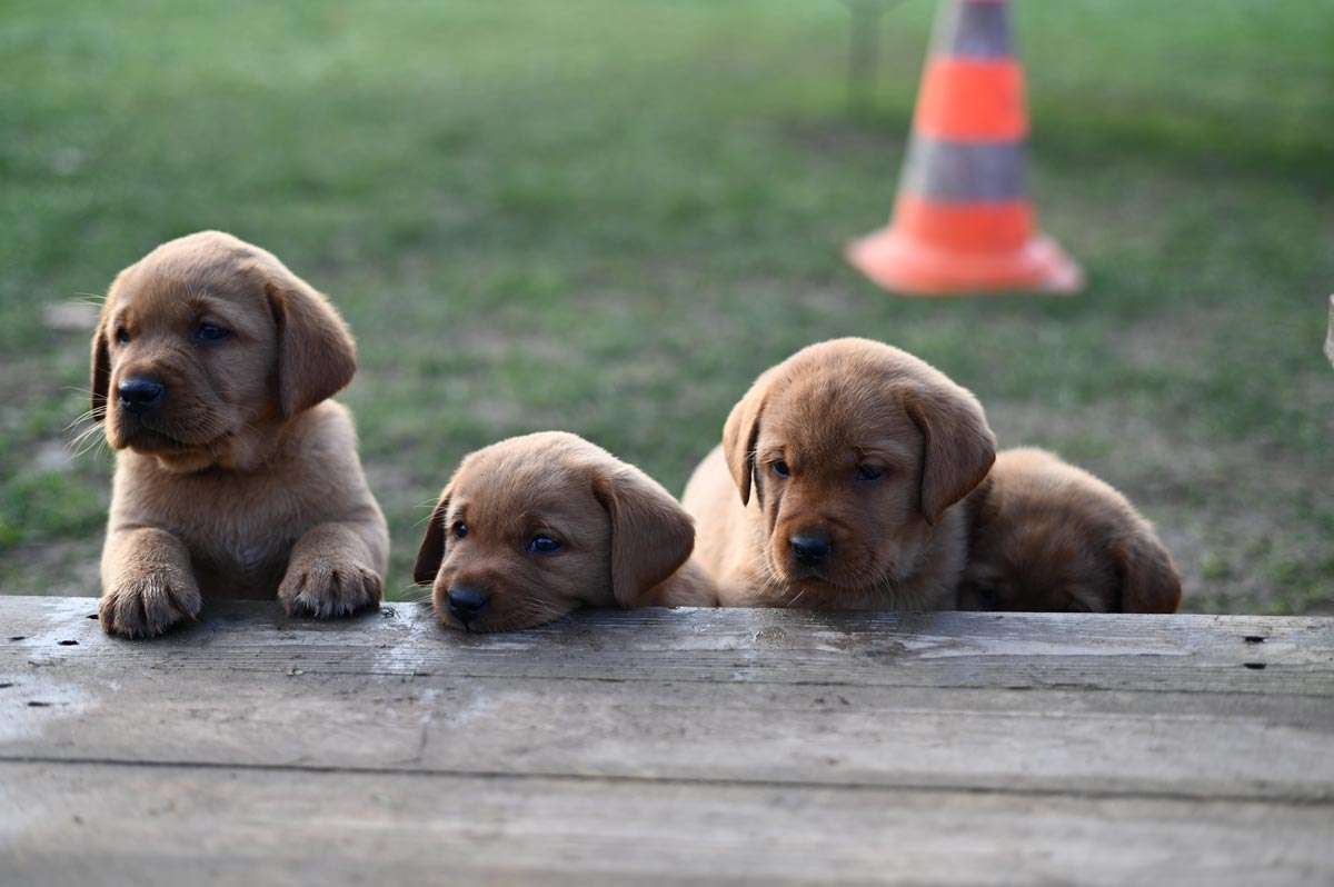 D-ErmlandMasuren_065