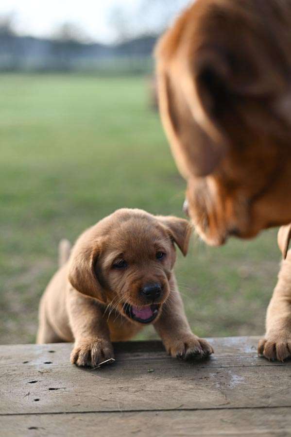 D-ErmlandMasuren_066